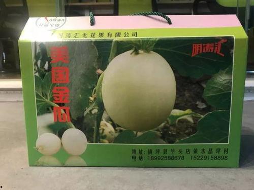 金瓜吃瓜视,揭秘网络红人的崛起之路