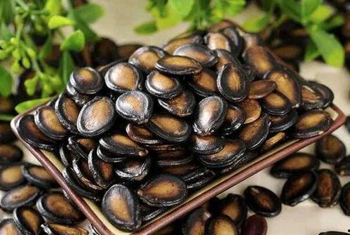 吃瓜就吃瓜别吐瓜子皮,畅享美味，拒绝瓜子皮污染