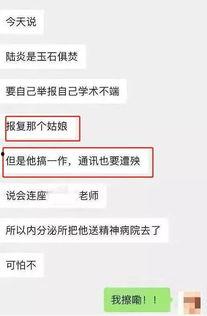 网传吃瓜论文,吃瓜论文背后的真相与启示