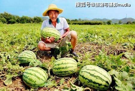 吃瓜的路,吃瓜群众眼中的明星幕后故事