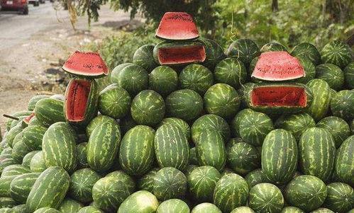 吃瓜的路,吃瓜群众眼中的明星幕后故事