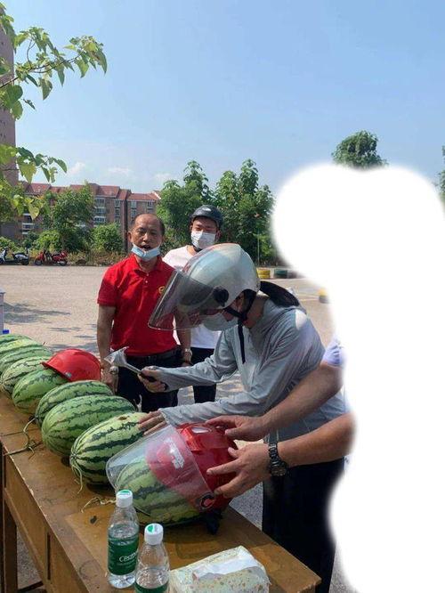 桓台吃瓜事件,一场引发社会热议的“瓜农维权”风波