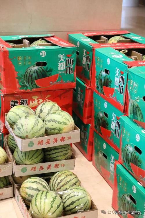 桓台吃瓜事件,一场引发社会热议的“瓜农维权”风波