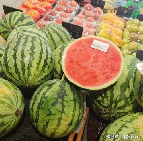 烂瓜可以吃吗,揭秘食品安全与保存之道