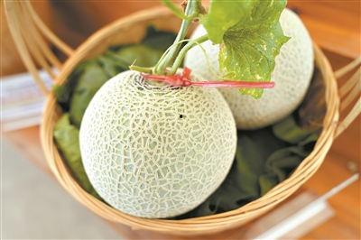 广州展会吃瓜,吃瓜群众围观热点，趣味横生一幕幕