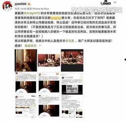 吃瓜中视频计划