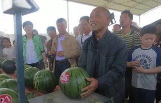 建湖吃瓜群众,揭秘当地生活百态