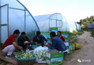 建湖吃瓜群众,揭秘当地生活百态