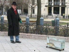 吃瓜遛狗,闲适生活新风尚