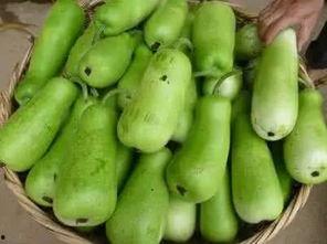 吃葫芦瓜有害吗,揭秘葫芦瓜是否有害