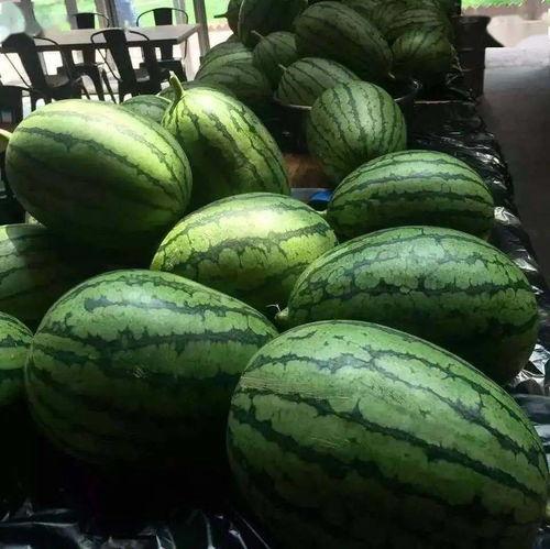 吃瓜第7集,揭秘幕后真相，剧情反转再掀高潮