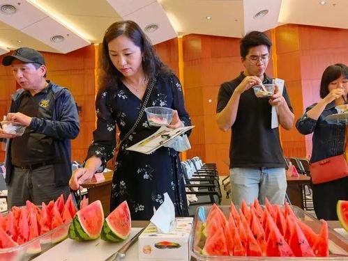 上海54岁阿姨吃瓜,一场意外的吃瓜盛宴