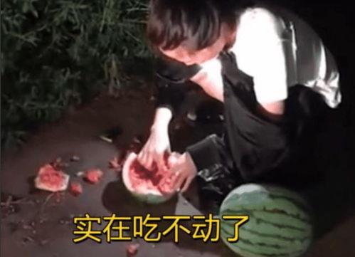 吃瓜被抓包,揭秘网络舆论背后的真相