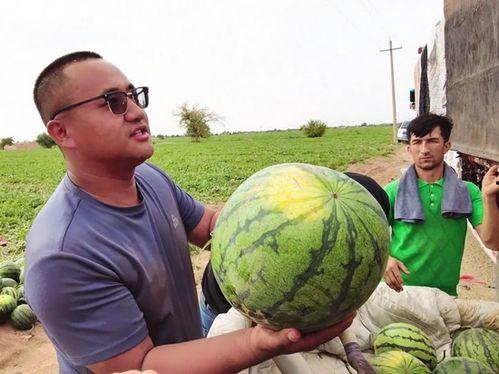 恩施吃瓜新闻视频,揭秘当地奇特事件背后的真相