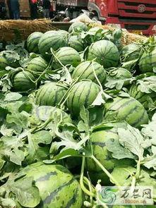 临沂沂水吃瓜,临沂特色美食之旅