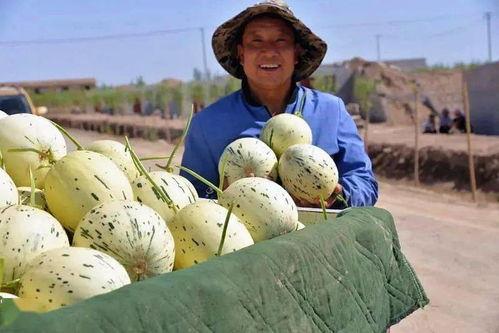 瓜州哪里吃牛头,探寻当地特色风味小吃