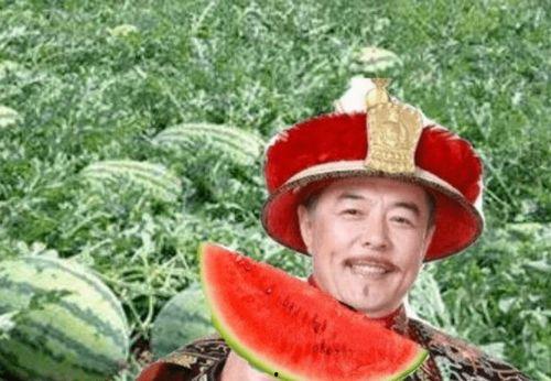 人偶路边吃瓜,揭秘人偶与现实的趣味碰撞