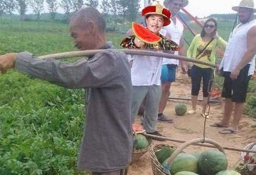 人偶路边吃瓜,揭秘人偶与现实的趣味碰撞