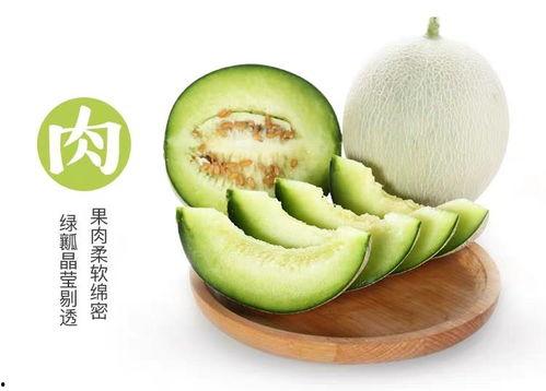 网纹瓜要怎么吃,解锁美味新体验