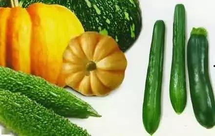 考文垂吃瓜,一场热闹非凡的吃瓜盛宴