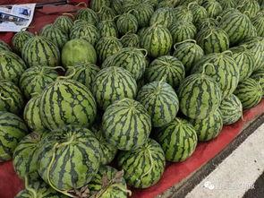 十三余福袋吃瓜,揭秘吃瓜群众的狂欢盛宴