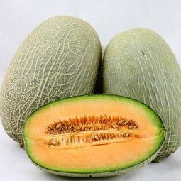 喜欢吃哈密瓜,探寻美味背后的秘密
