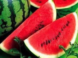 吃瓜就是种瓜人,揭秘瓜农的甜蜜生活