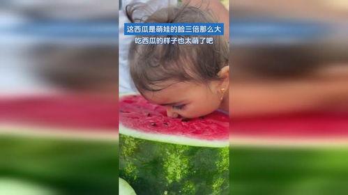 木木大瓜六萌娃吃瓜,木木大瓜六萌娃欢乐吃瓜记