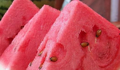 隔离期间吃瓜,揭秘隔离期间的美食生活