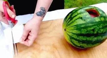 文安吃瓜女,吃瓜女生的校园生活趣事