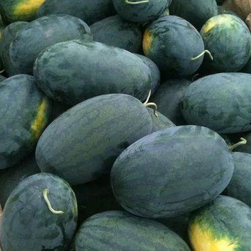 北京人吃吊瓜,吊瓜美食之旅