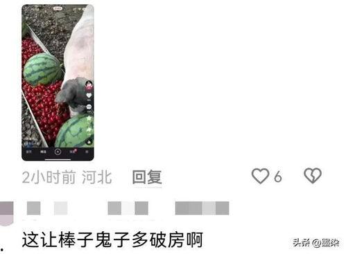 破防了吃瓜,吃瓜群众如何应对？