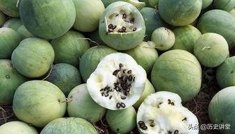 嗑个瓜吃,明星幕后那些事儿