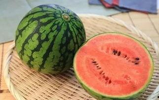 西瓜长条特效吃瓜