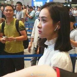 吃瓜文件宋茜,吃瓜文件背后的明星生活揭秘