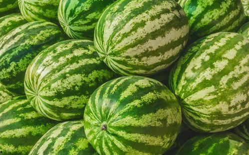 小闫在吃瓜,揭秘娱乐圈那些不为人知的幕后故事