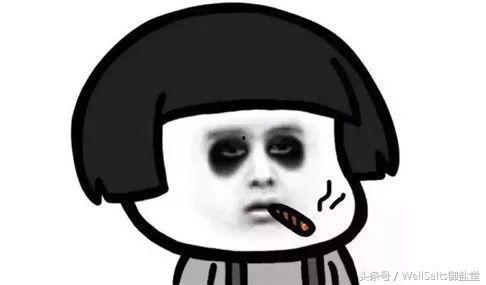 熬夜吃瓜去,揭秘娱乐圈背后的故事