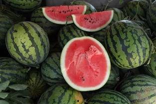 吃拉瓜注意什么,吃拉瓜的注意事项与饮食小贴士