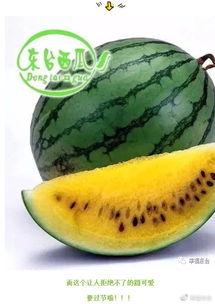 吃瓜小组集合,揭秘娱乐圈幕后故事