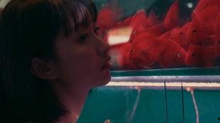 少女战队吃瓜,揭秘吃瓜背后的青春传奇