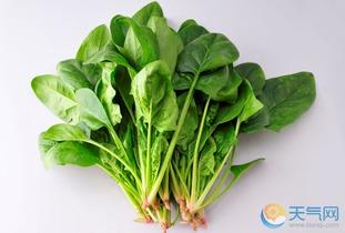 孕妇吃瓜还是吃青菜好,瓜类与青菜的营养较量