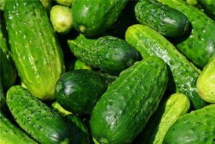 梦见吃鲜红的瓜,揭秘鲜红瓜果的神秘寓意