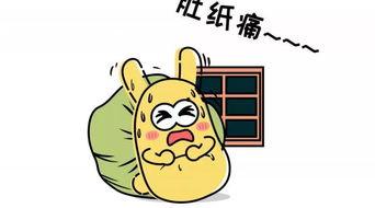 吃瓜群众的生肖有哪些