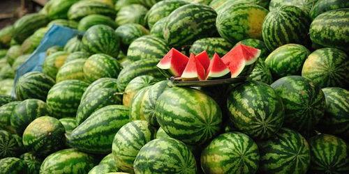 挖吃瓜,挖吃瓜背后的真相与内幕