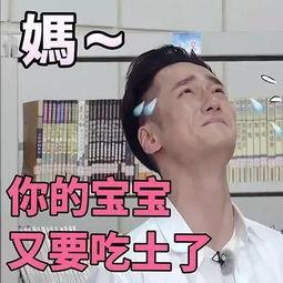 黄磊吃瓜视频表情,瓜王再现江湖！