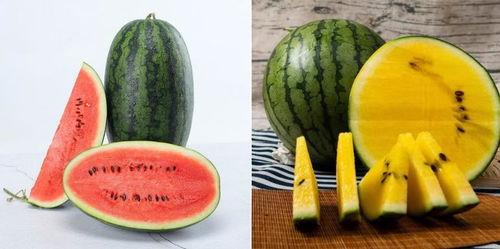 吃瓜结果吃的是自己的瓜,揭秘吃瓜群众如何变成瓜农