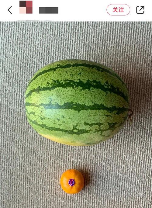 吃瓜结果吃的是自己的瓜,揭秘吃瓜群众如何变成瓜农