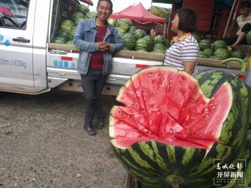 雷州吃瓜群众,吃瓜群众的欢乐盛宴