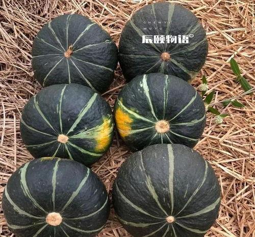 吃板栗瓜会上火吗,吃板栗瓜会上火吗？揭秘健康饮食之谜