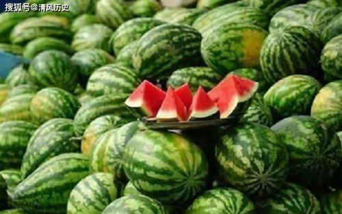 在哪里看吃瓜,揭秘吃瓜群众的聚集地